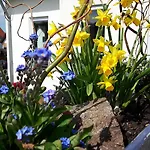 Ferienapartment Schlosser *
