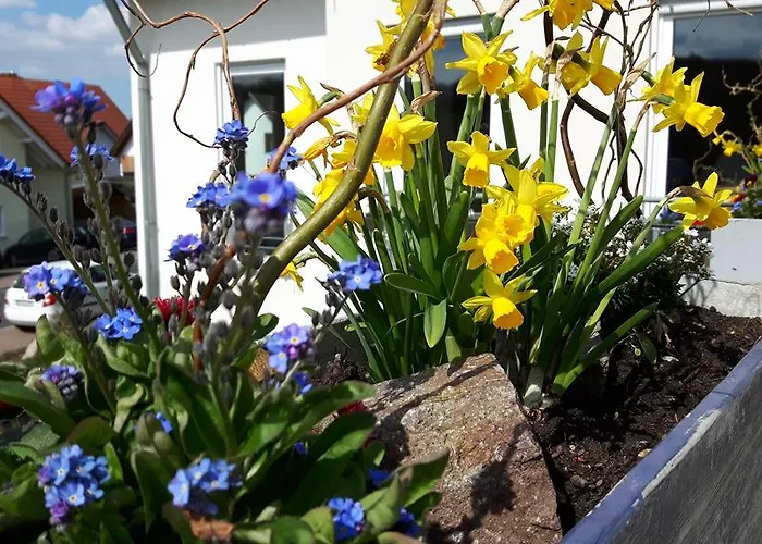 Ferienapartment Schlosser *